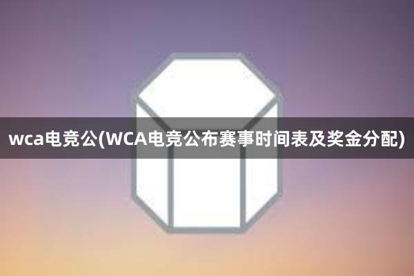 wca电竞公(WCA电竞公布赛事时间表及奖金分配)