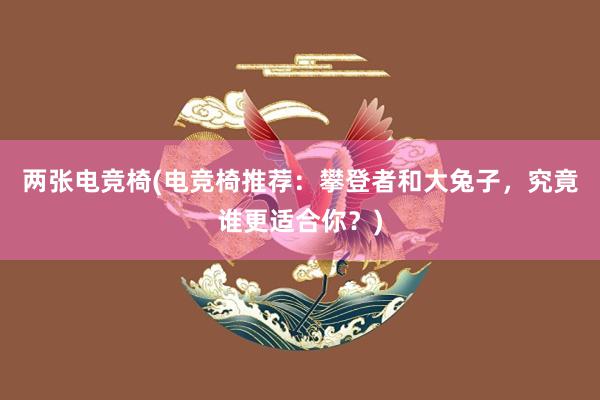 两张电竞椅(电竞椅推荐：攀登者和大兔子，究竟谁更适合你？)