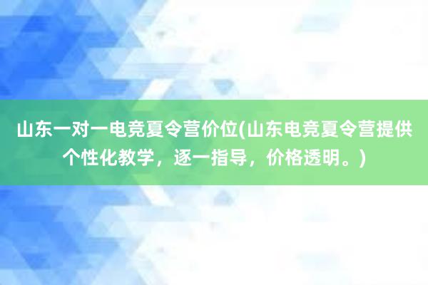 山东一对一电竞夏令营价位(山东电竞夏令营提供个性化教学，逐一指导，价格透明。)