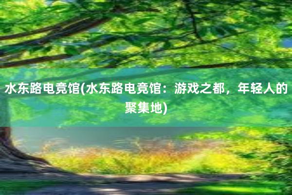 水东路电竞馆(水东路电竞馆：游戏之都，年轻人的聚集地)