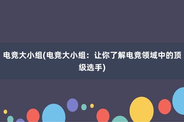 电竞大小组(电竞大小组：让你了解电竞领域中的顶级选手)