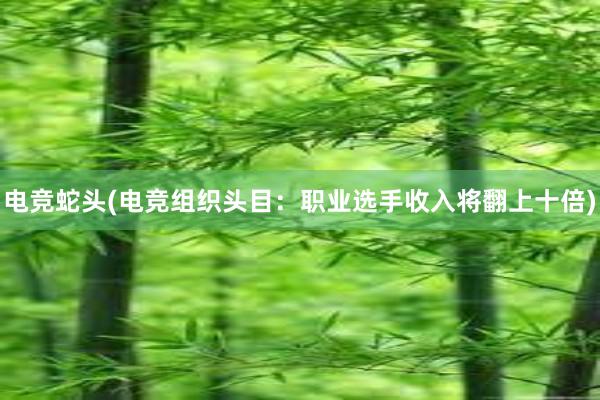 电竞蛇头(电竞组织头目：职业选手收入将翻上十倍)