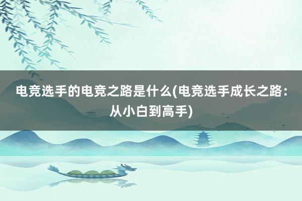 电竞选手的电竞之路是什么(电竞选手成长之路：从小白到高手)