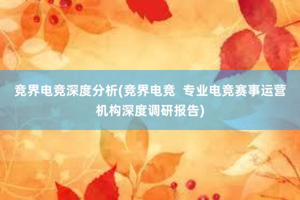 竞界电竞深度分析(竞界电竞  专业电竞赛事运营机构深度调研报告)