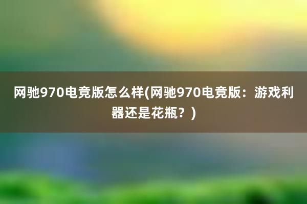 网驰970电竞版怎么样(网驰970电竞版：游戏利器还是花瓶？)