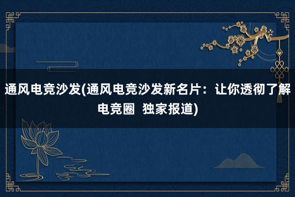 通风电竞沙发(通风电竞沙发新名片：让你透彻了解电竞圈  独家报道)