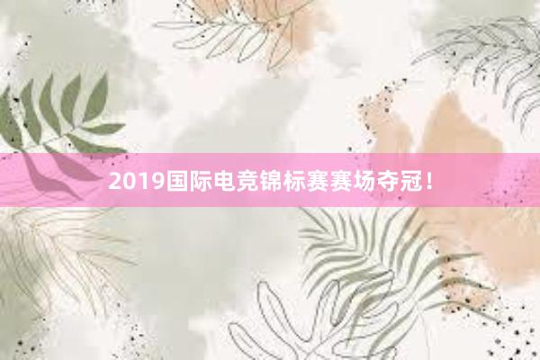 2019国际电竞锦标赛赛场夺冠！