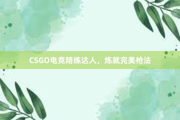 CSGO电竞陪练达人，炼就完美枪法