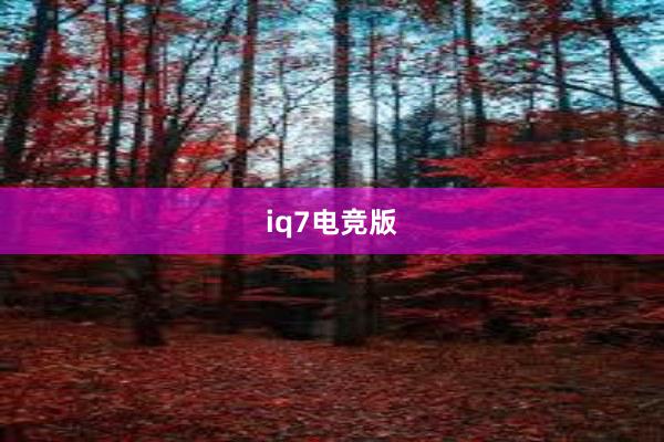 iq7电竞版