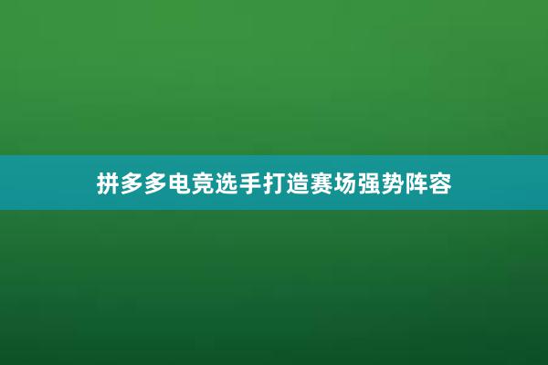 拼多多电竞选手打造赛场强势阵容