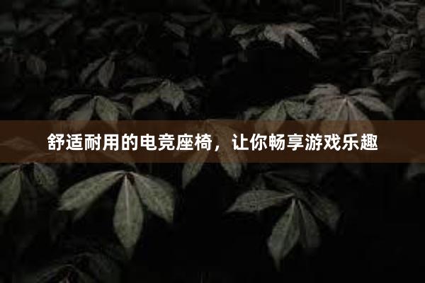 舒适耐用的电竞座椅，让你畅享游戏乐趣