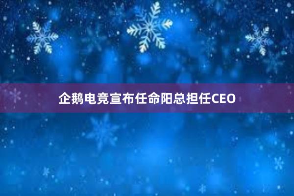 企鹅电竞宣布任命阳总担任CEO