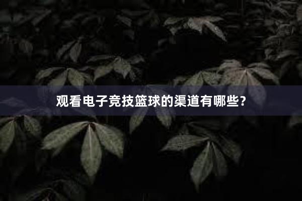 观看电子竞技篮球的渠道有哪些？