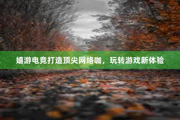 嬉游电竞打造顶尖网络咖，玩转游戏新体验