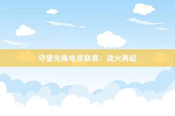 守望先锋电竞联赛：战火再起