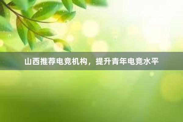 山西推荐电竞机构，提升青年电竞水平