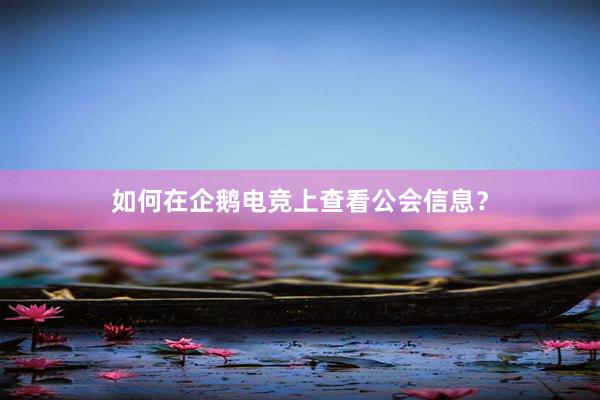 如何在企鹅电竞上查看公会信息？