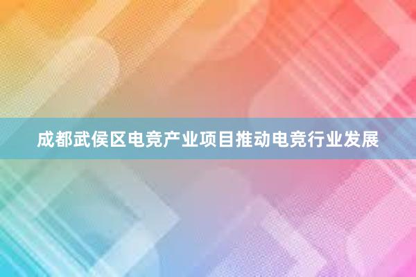 成都武侯区电竞产业项目推动电竞行业发展