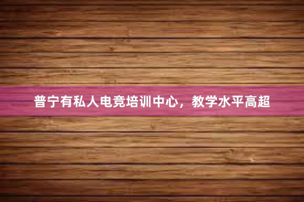 普宁有私人电竞培训中心，教学水平高超