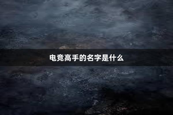 电竞高手的名字是什么