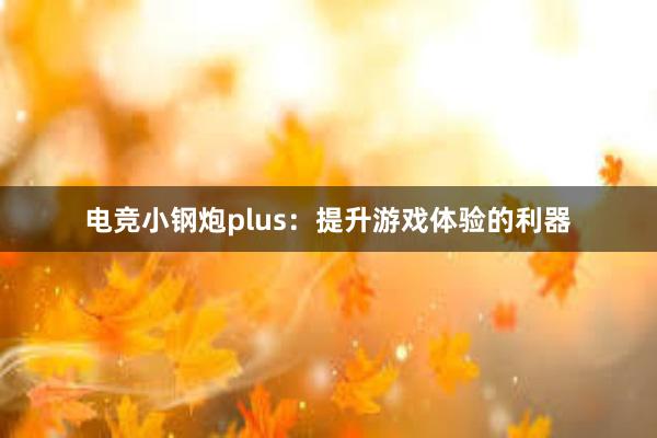 电竞小钢炮plus：提升游戏体验的利器