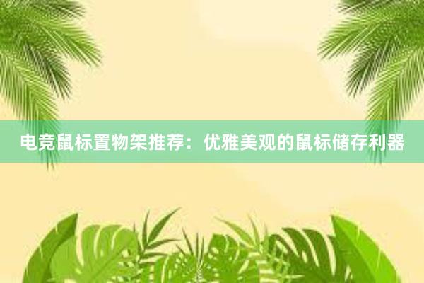 电竞鼠标置物架推荐：优雅美观的鼠标储存利器