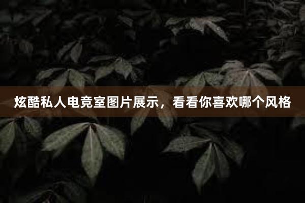 炫酷私人电竞室图片展示，看看你喜欢哪个风格