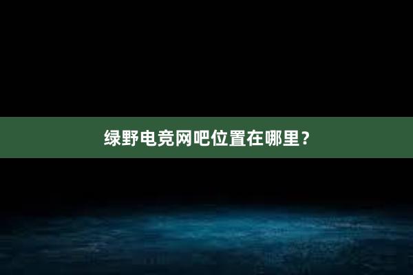 绿野电竞网吧位置在哪里？