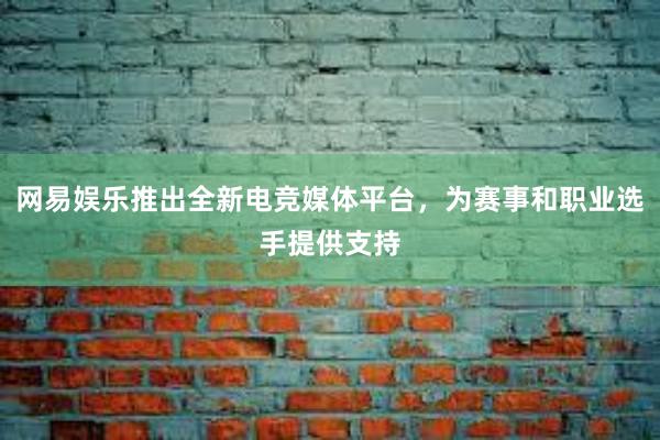 网易娱乐推出全新电竞媒体平台，为赛事和职业选手提供支持