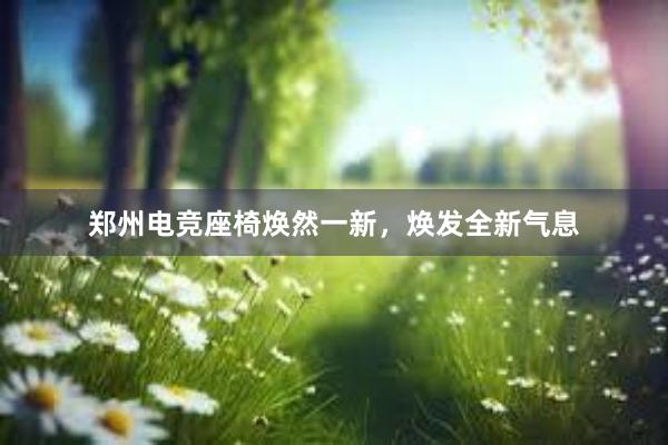 郑州电竞座椅焕然一新，焕发全新气息