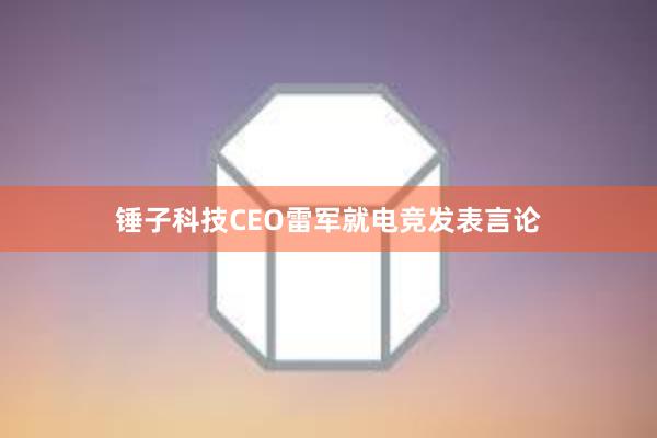 锤子科技CEO雷军就电竞发表言论